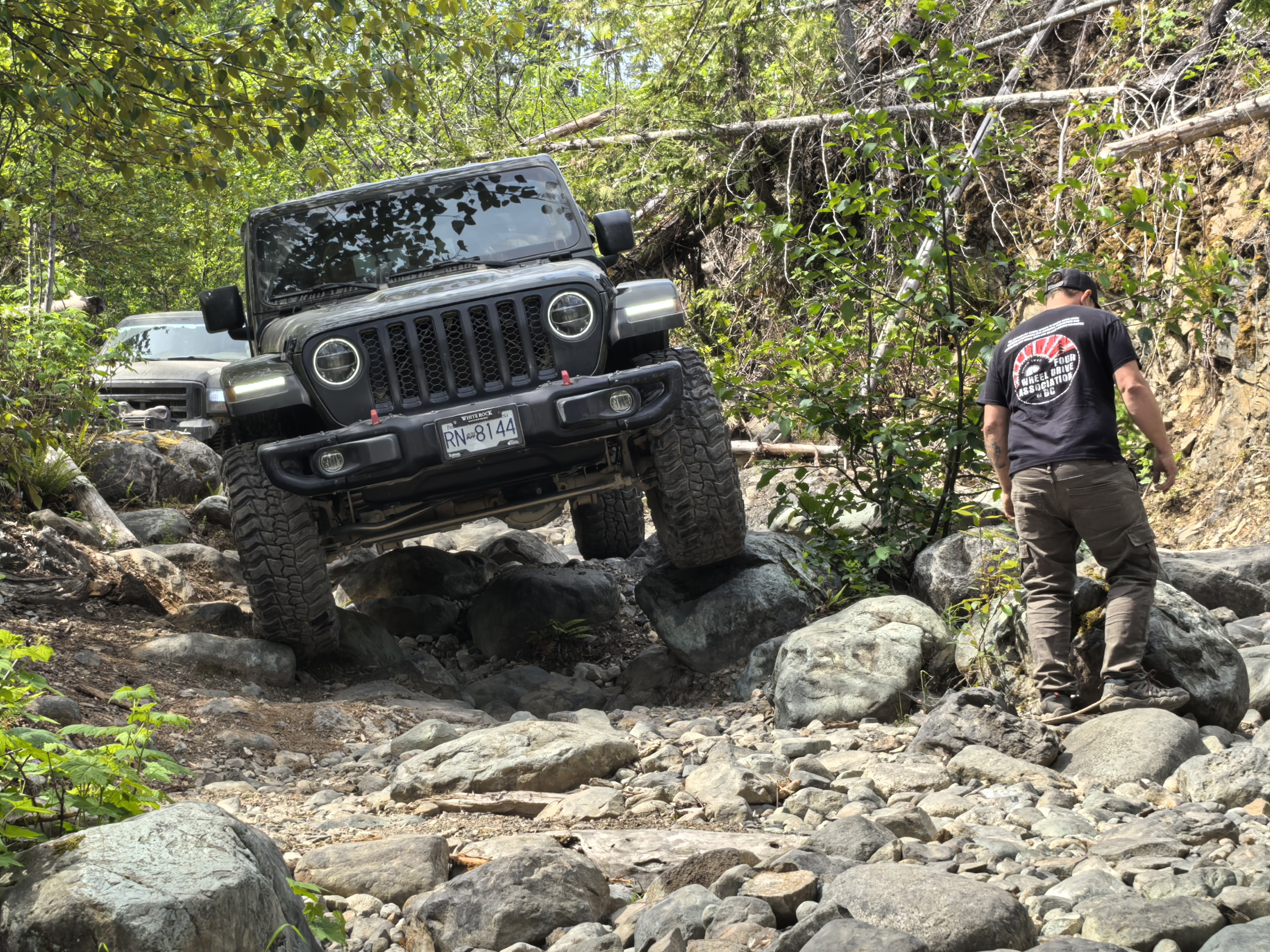 Hard way group navigating through Hale Creek forest section