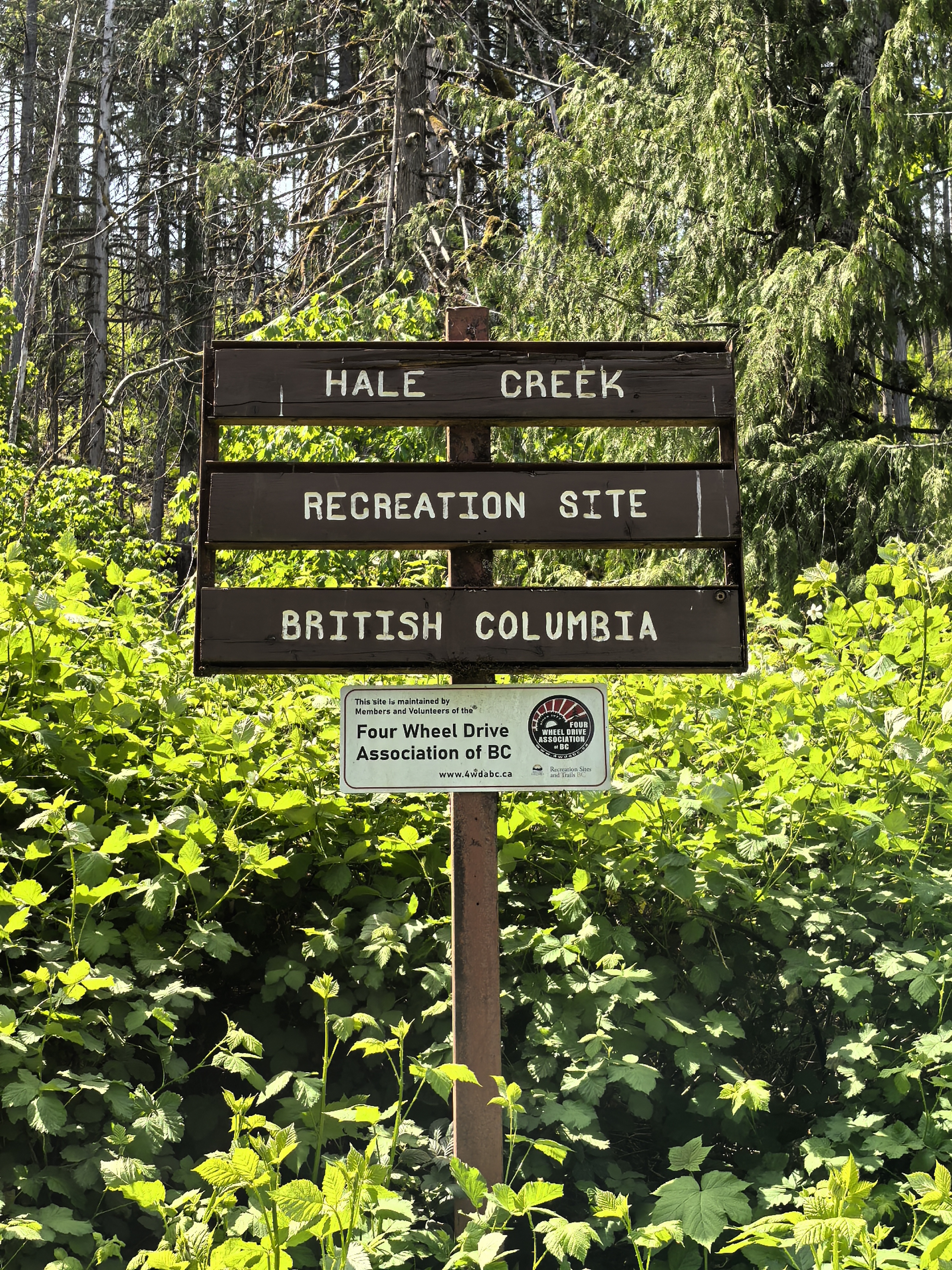 Hale Creek camp sign — the meeting point for the Newbie Run