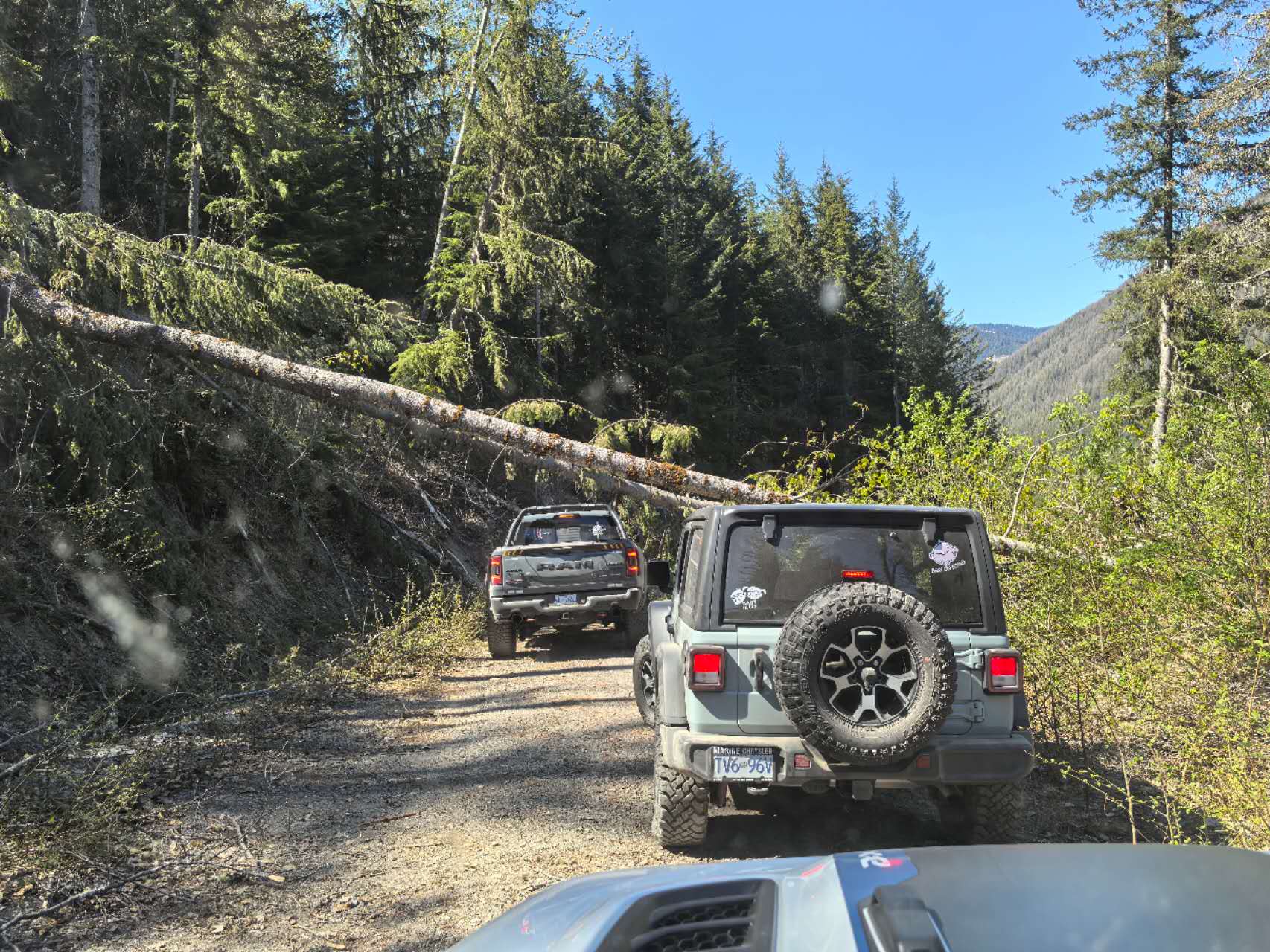 Mount Cheam FSR trail condition 2