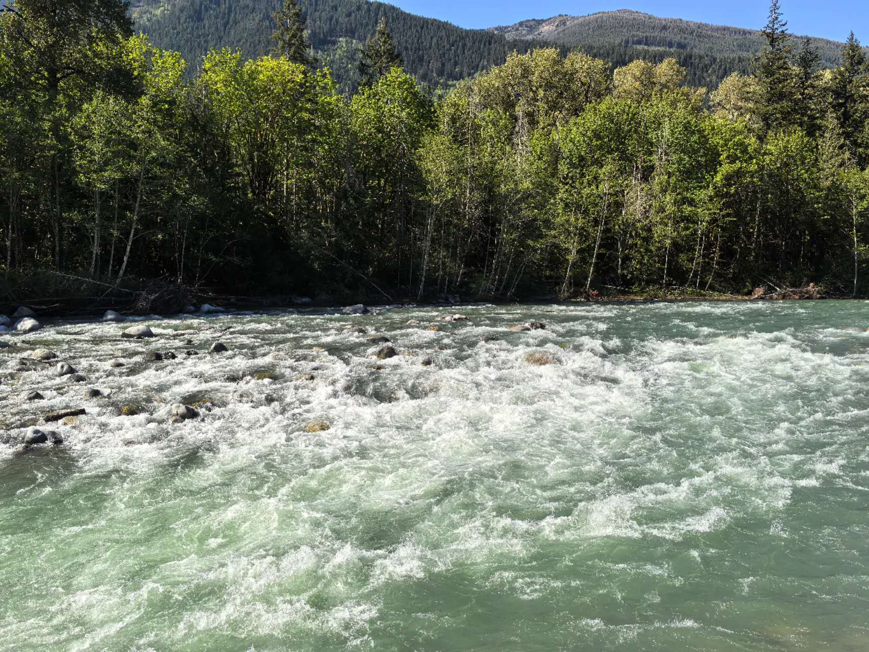 Chilliwack River stop 2