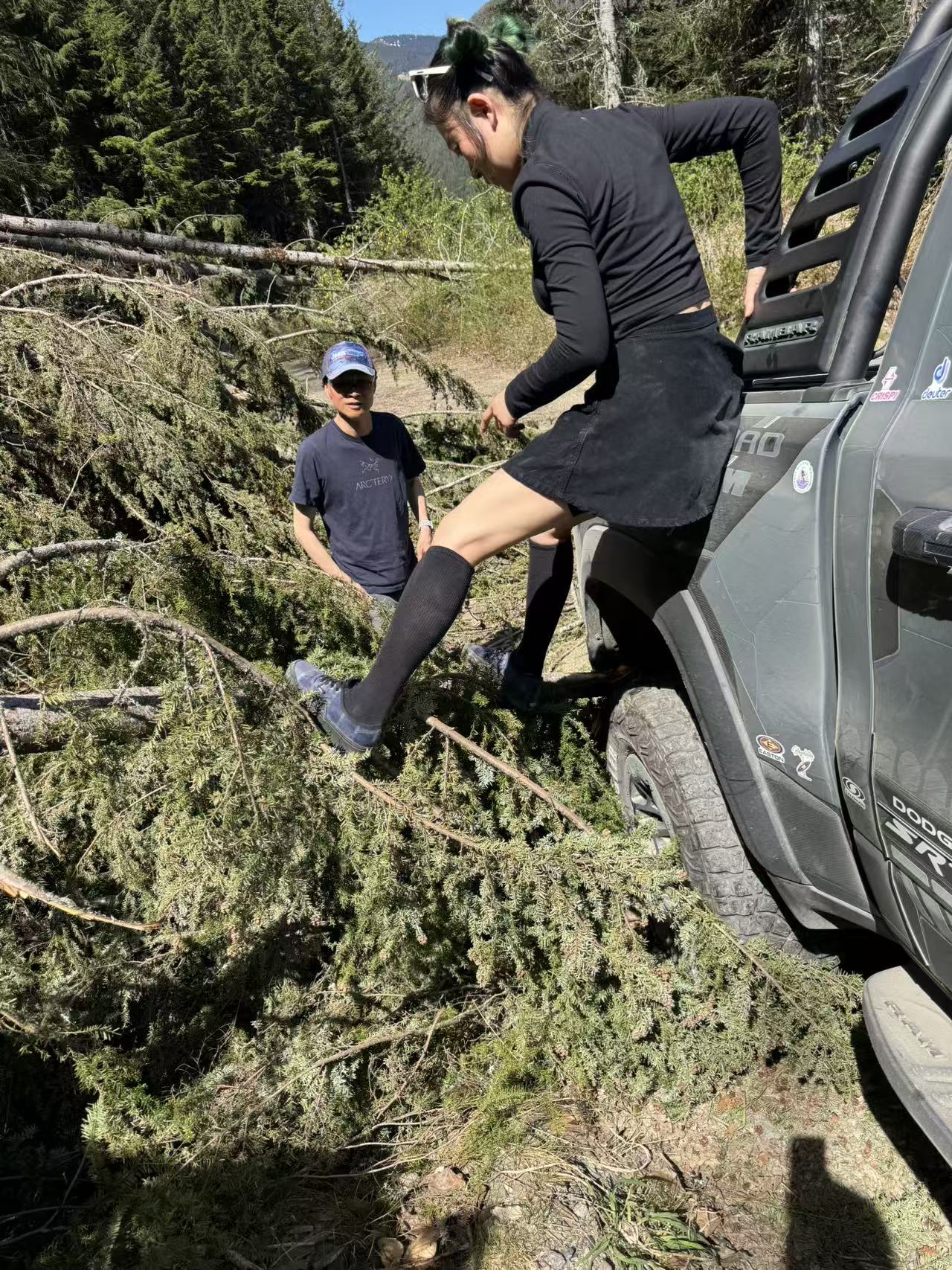Clearing the fallen tree and helping the pickup